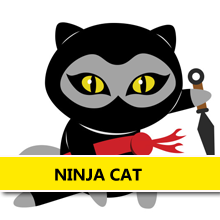 cat ninja 2 unblocked